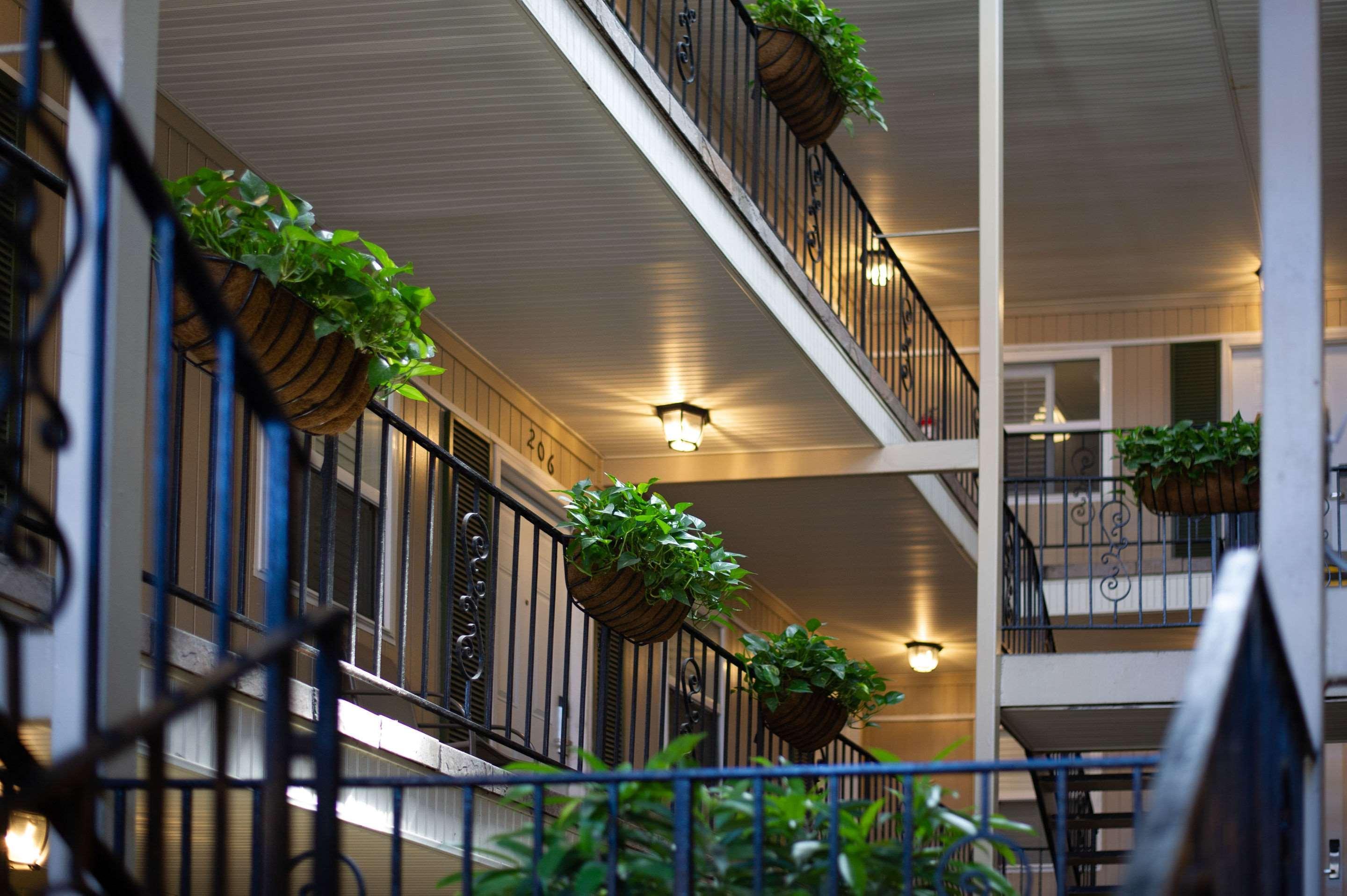 Frenchmen Orleans At 519, Ascend Hotel Collection New Orleans Exteriör bild