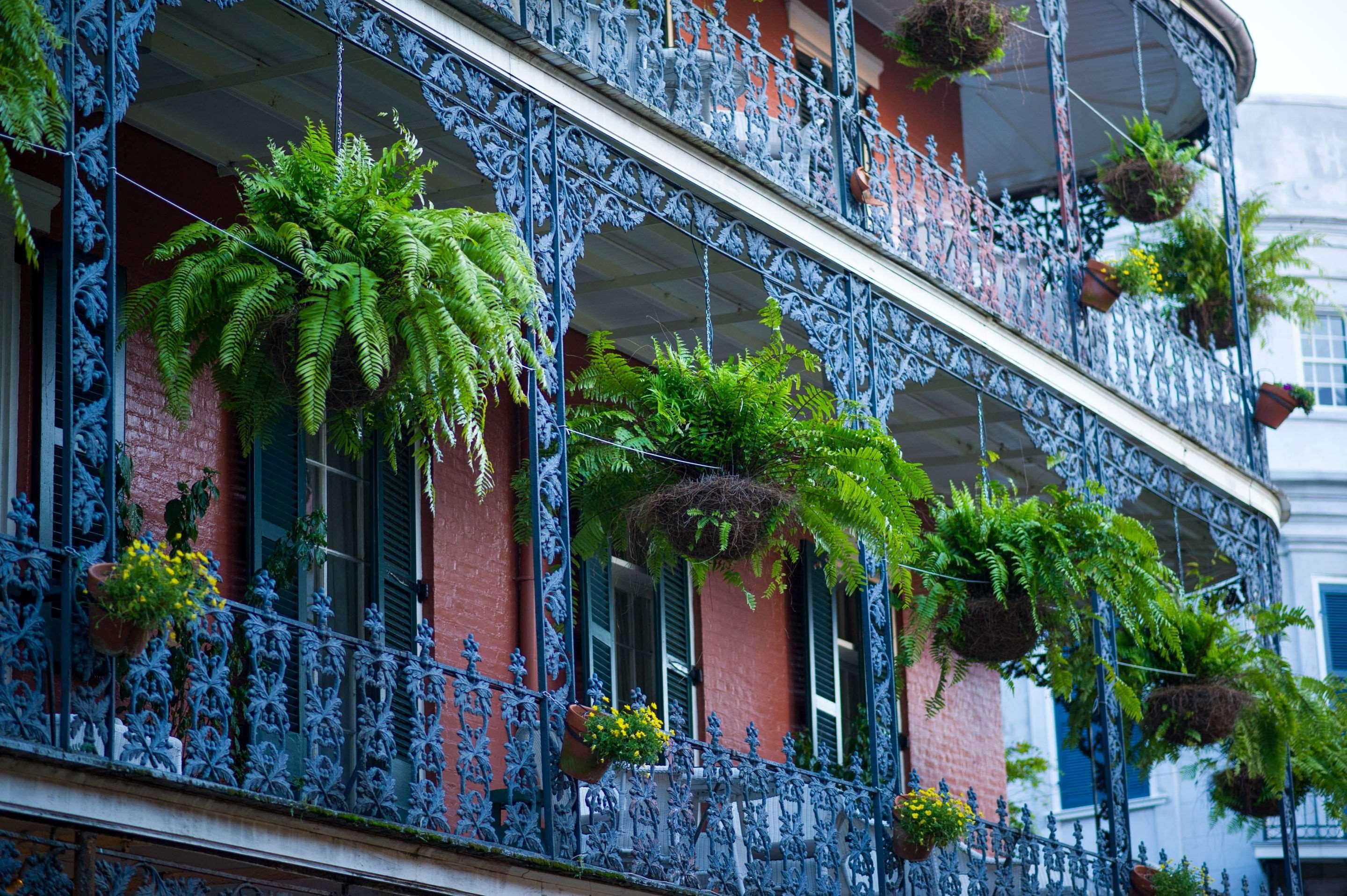 Frenchmen Orleans At 519, Ascend Hotel Collection New Orleans Exteriör bild