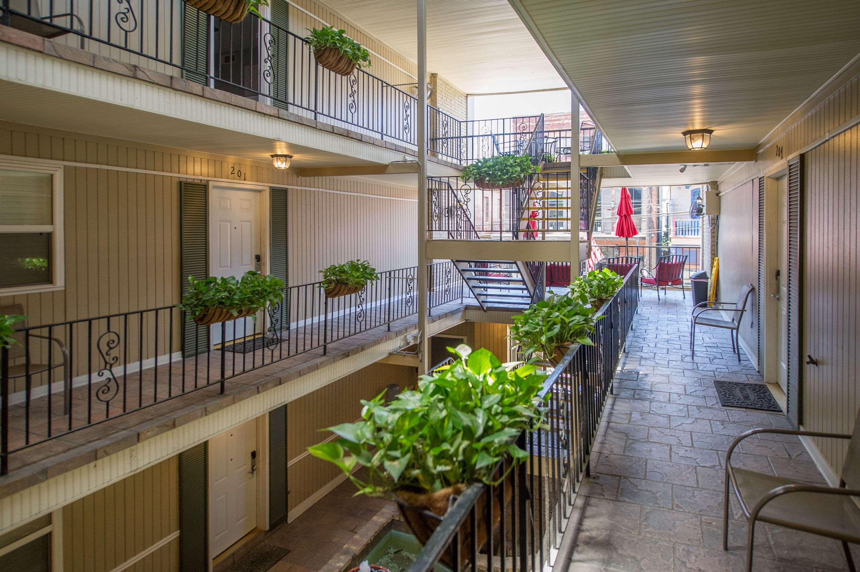 Frenchmen Orleans At 519, Ascend Hotel Collection New Orleans Exteriör bild